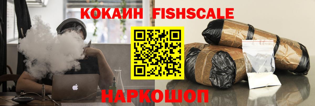Кокаин Fish Scale  купить наркотик  COCAIN  Чебоксары  COCAIN Боливия  Вход с VPN 