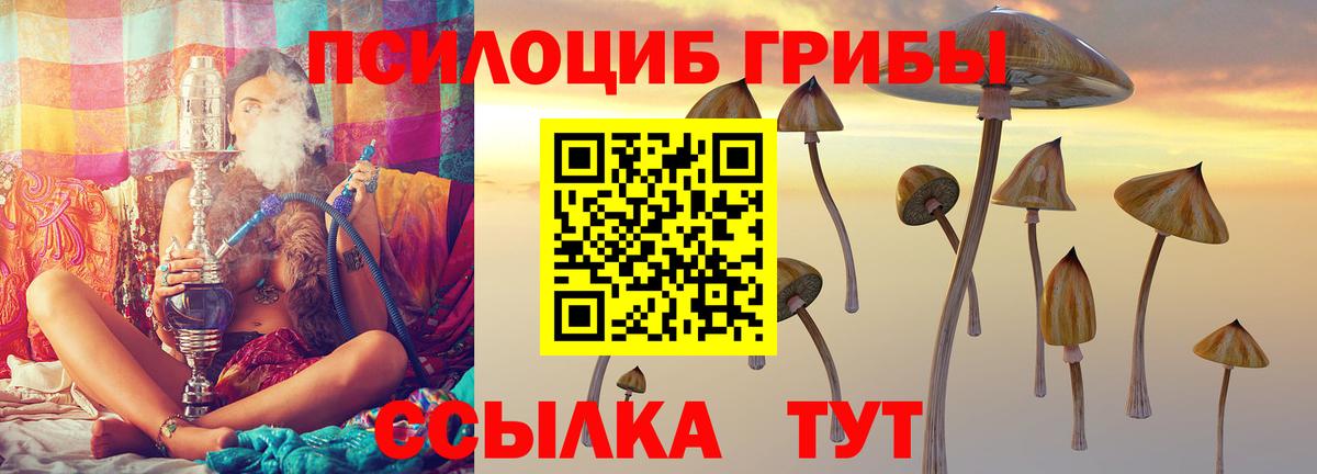 Чебоксары  Галлюциногенные грибы Cubensis  Вход с VPN 