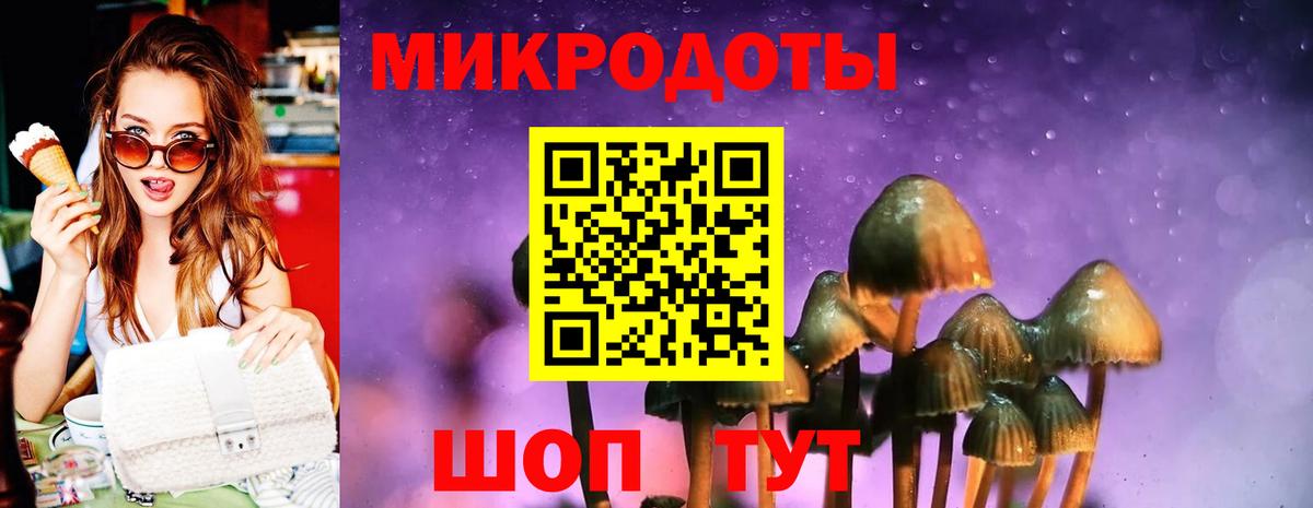 Галлюциногенные грибы Psilocybe Чебоксары